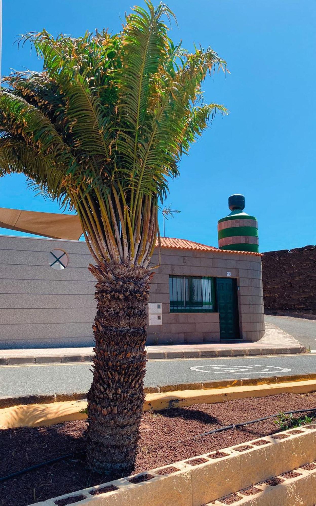 Loft El Tabaibal *